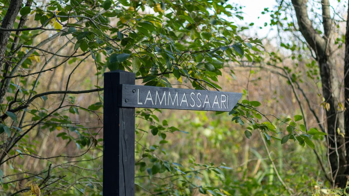 Wooden sign pointing to Lammassaari in a lush Finnish forest. Tranquil nature scene.